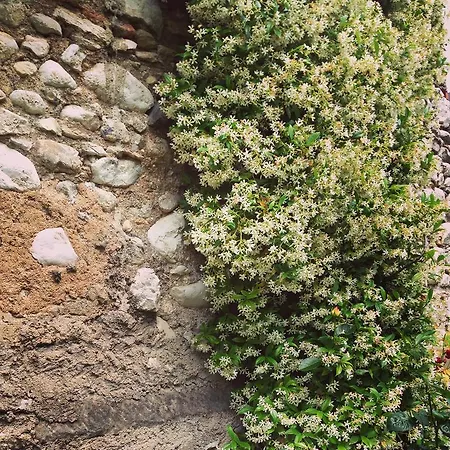 Casa Angela *