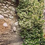 Casa Angela *