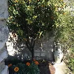 Casa Angela Tatil Evi *