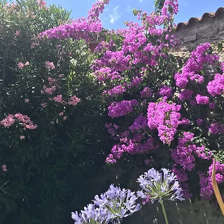 Casa Angela